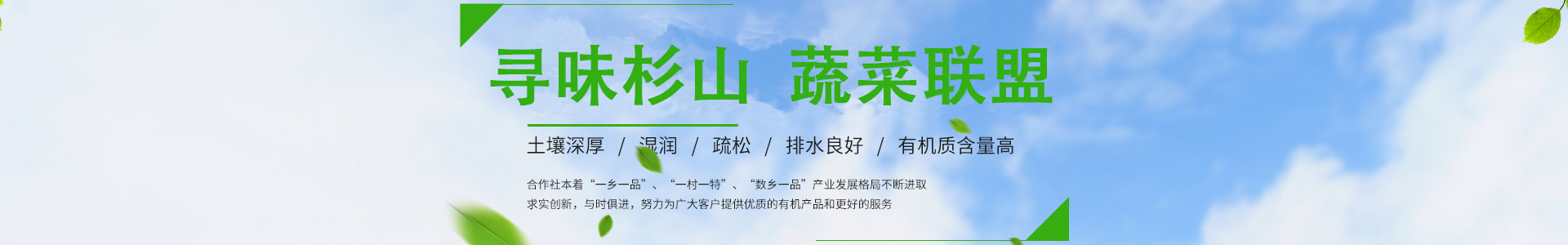 寻味杉山