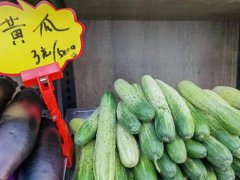 伍妹子黄瓜