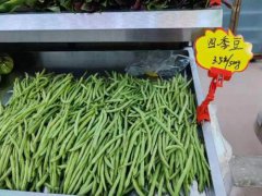 伍妹子四季豆