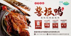 新湘源酱板鸭（红）