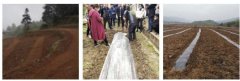紫缘农业公司南瓜种植管理